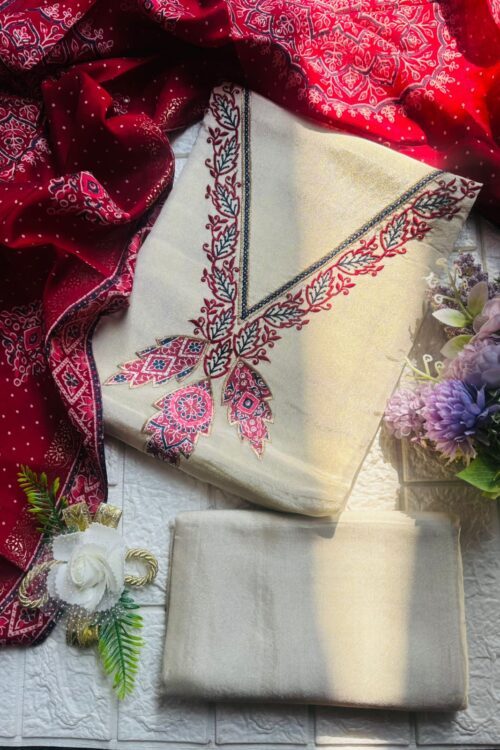 Elegant shimmer Embroidered Suit Set